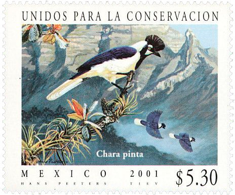 Postal Stamp from Mexico featuring a Tufted Jay